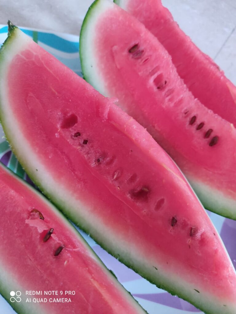 Top 13 Surprising Health Benefits of Eating Watermelon in Summer
