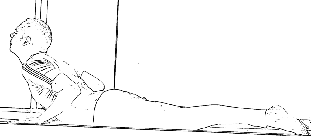 Learn How To Do Bhujangasana Step By Step: Cobra Pose Benefits and Precautions