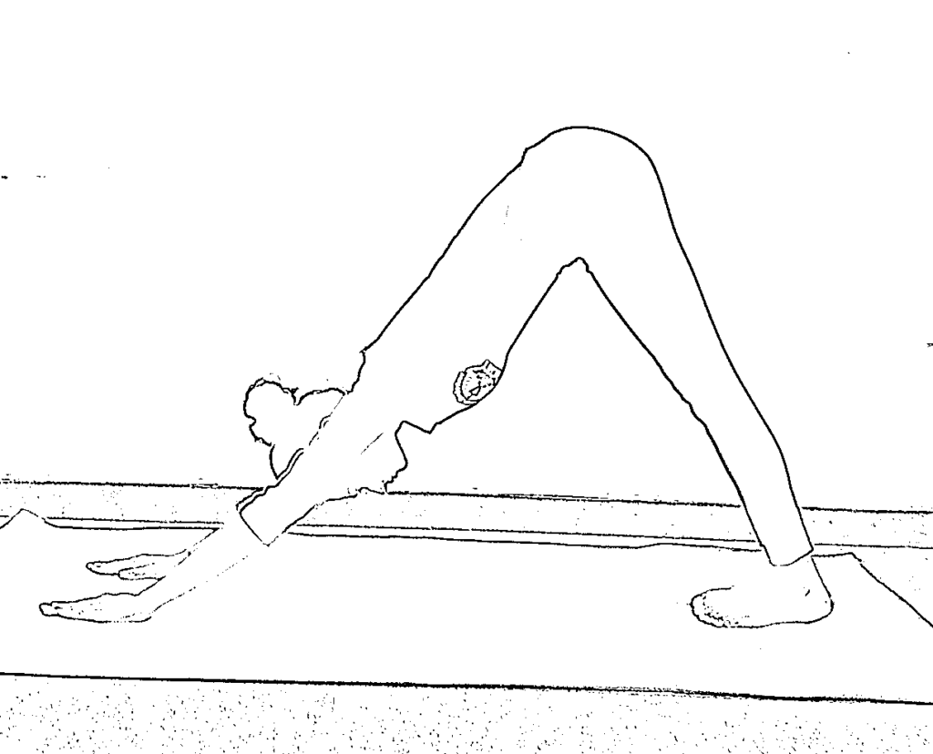 Adho Mukha Svanasana