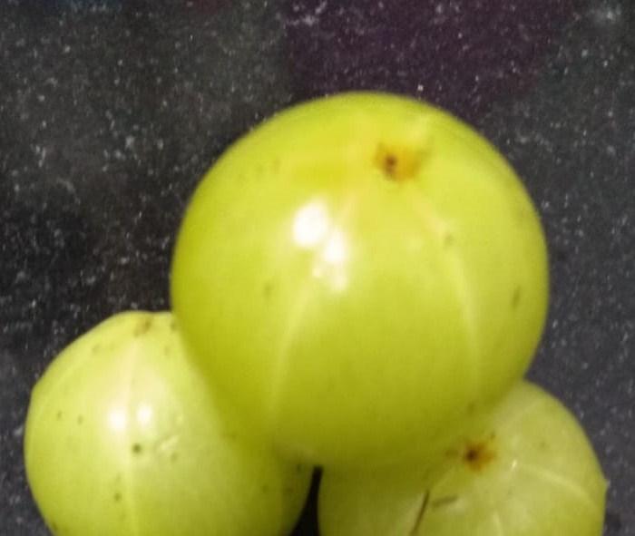 10 Wonder Benefits And Nutritional Facts Of Eating Amla (Phyllanthus emblica)