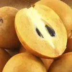 Health Benefits of Chiku (Sapodilla)