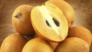 Health Benefits of Chiku (Sapodilla)