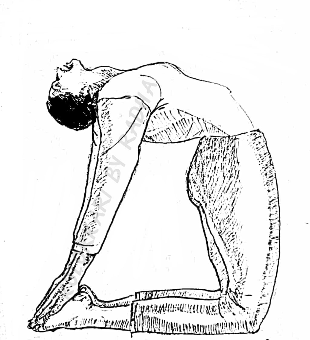 How is yoga useful for thyroid imbalance? - Quora
