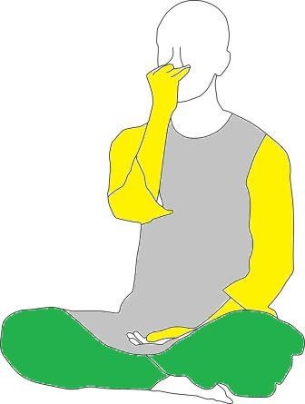 Anulom Vilom Pranayama to get rid of Sinus