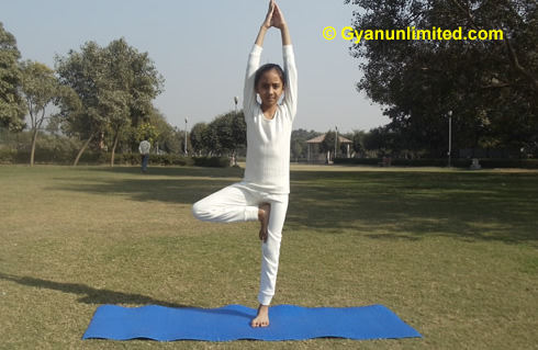 Yoga Pose: Handstand | Pocket Yoga