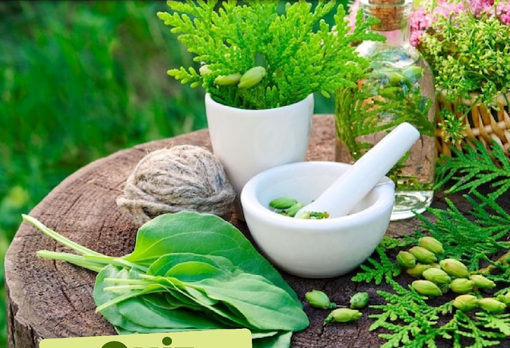 30 Excellent Ayurveda Tips for Maintaining Good Health