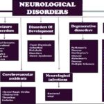 Yoga Notes on Neurological Disorders for Degree Students