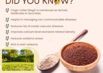 Discover the 10 Surprising Health Benefits of Finger Millet (Ragi)