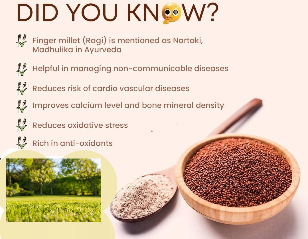 Discover The 10 Surprising Health Benefits Of Finger Millet (Ragi)